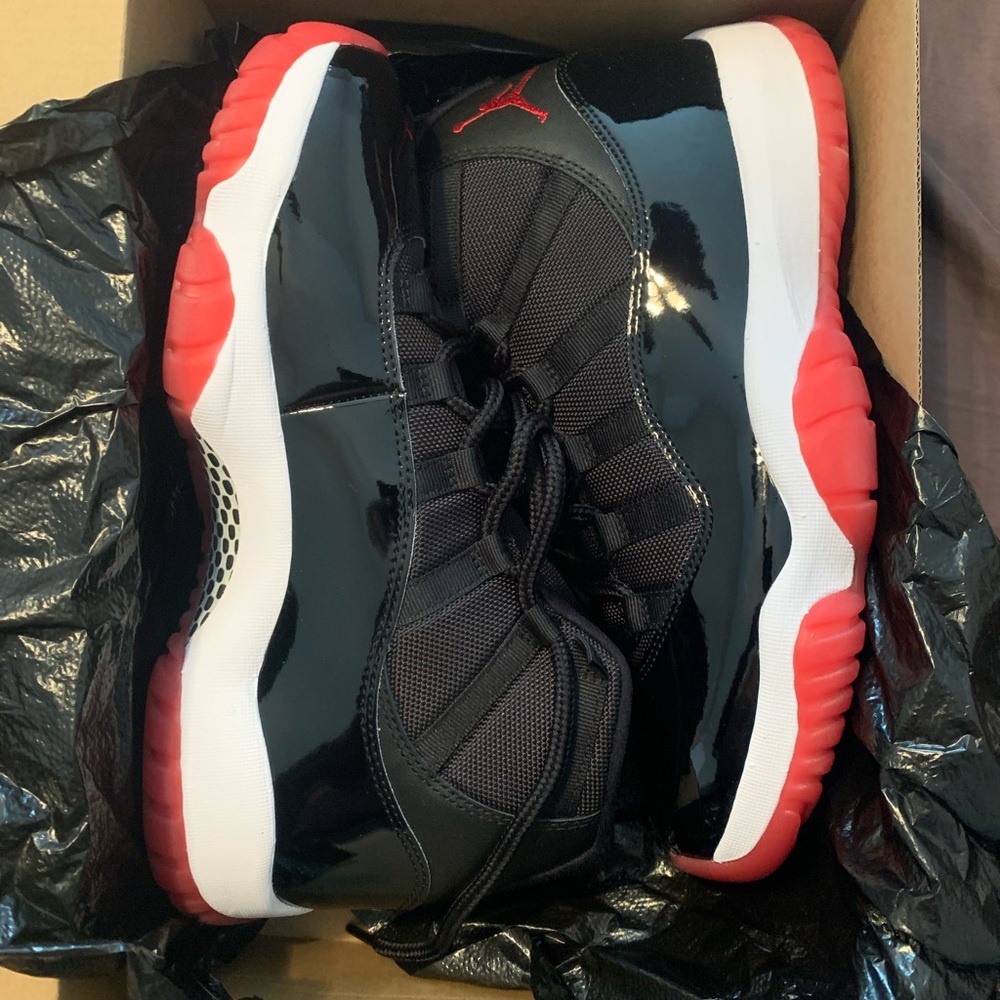 2019 Bred 11